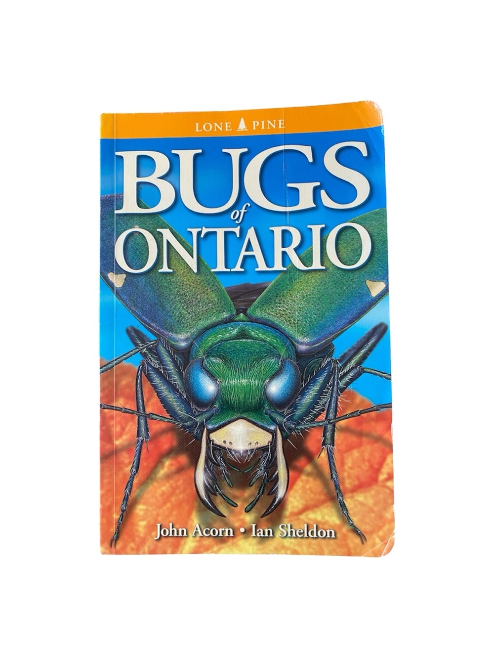Bugs of Ontario Book
